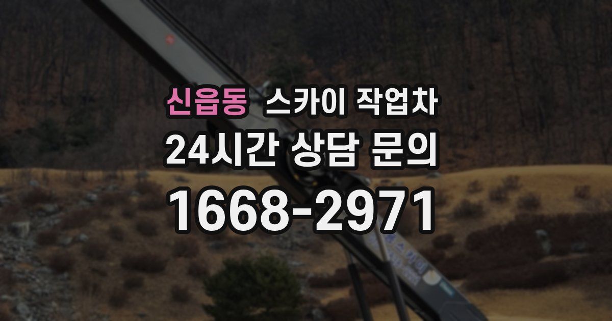 신읍동 스카이 작업차