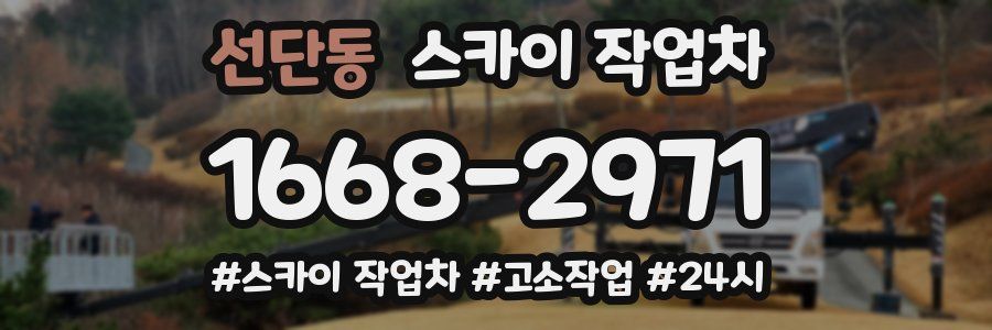 선단동 스카이 작업차