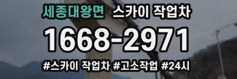 세종대왕면 스카이 작업차