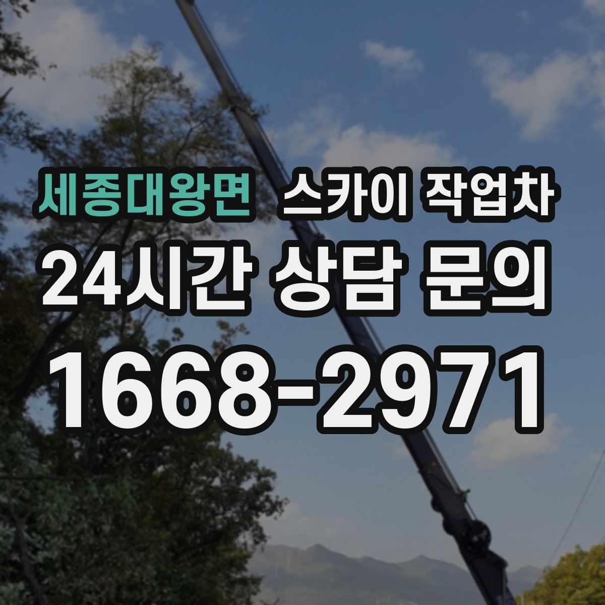 세종대왕면 스카이 작업차