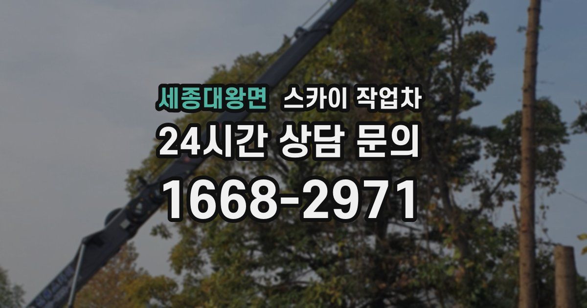 세종대왕면 스카이 작업차