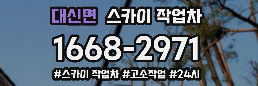 대신면 스카이 작업차