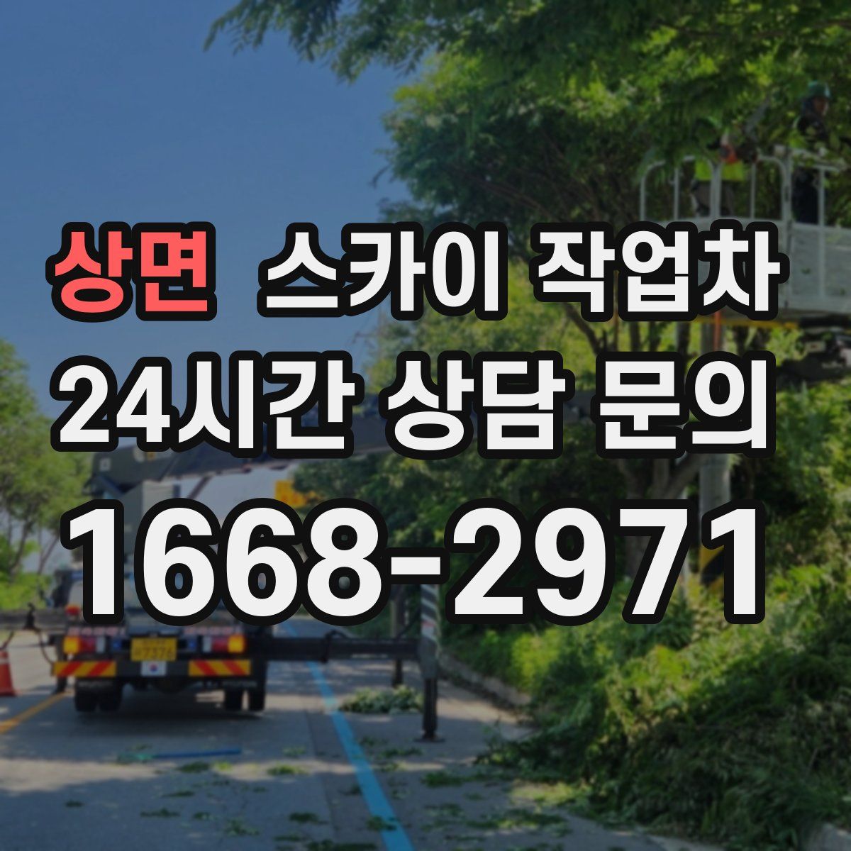 상면 스카이 작업차