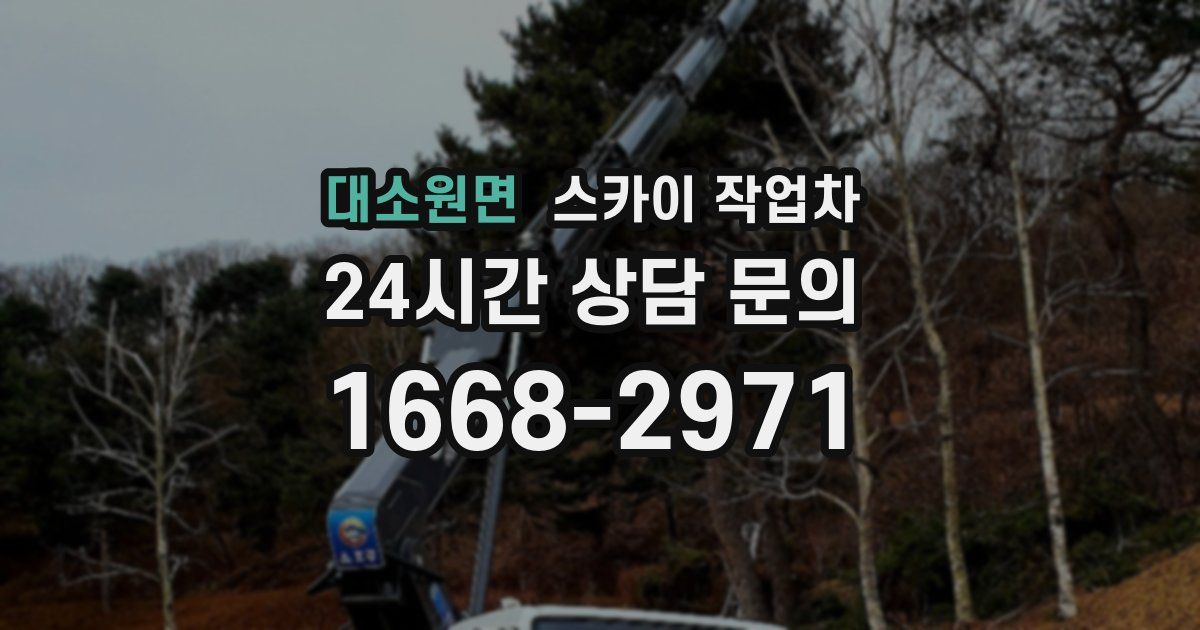 대소원면 스카이 작업차