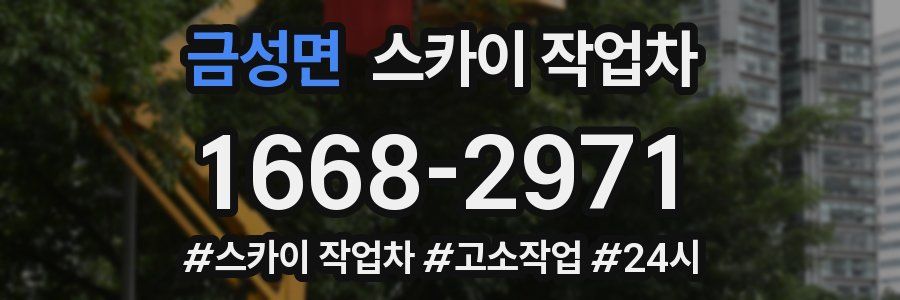 금성면 스카이 작업차