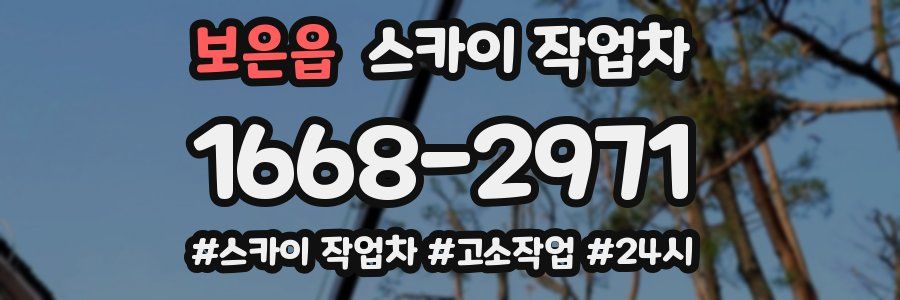 보은읍 스카이 작업차