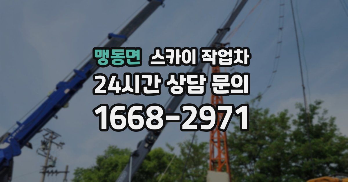 맹동면 스카이 작업차