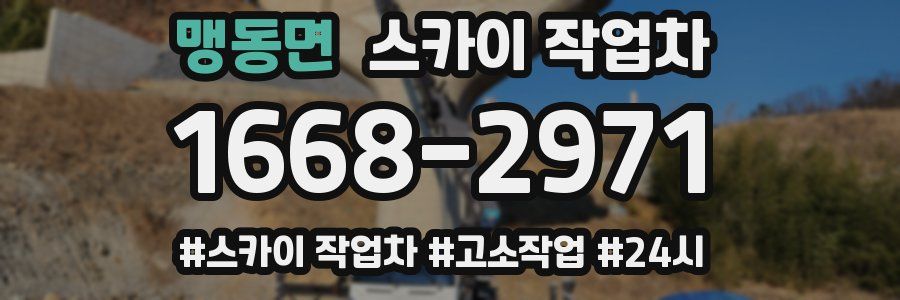 맹동면 스카이 작업차