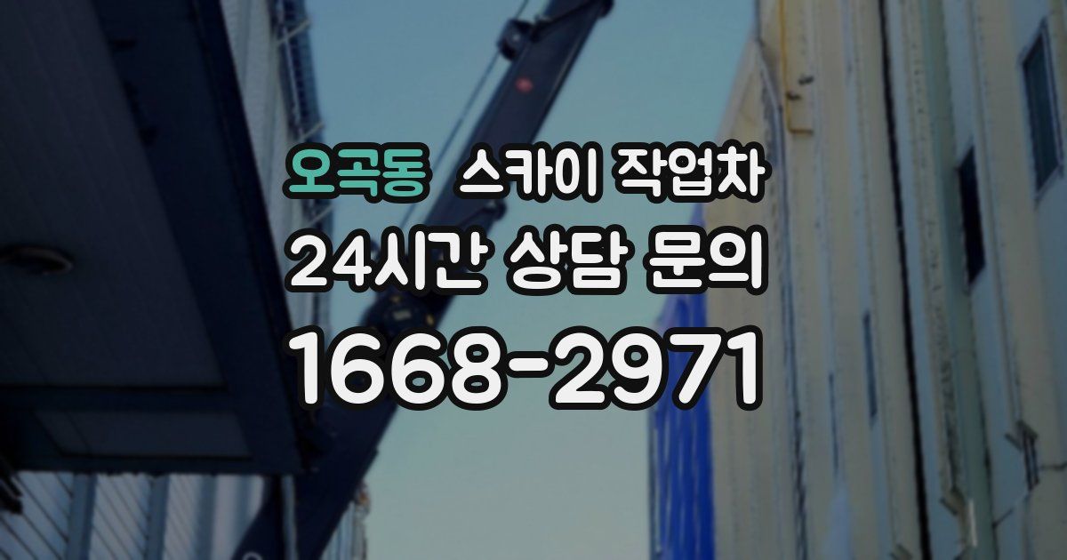 오곡동 스카이 작업차