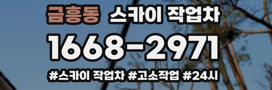 금흥동 스카이 작업차