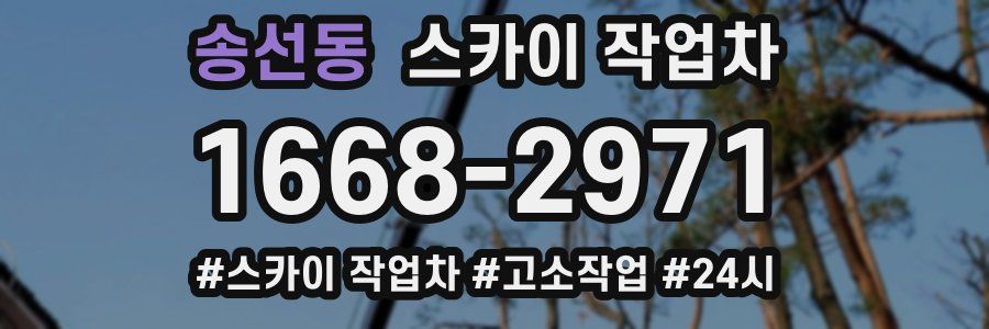 송선동 스카이 작업차