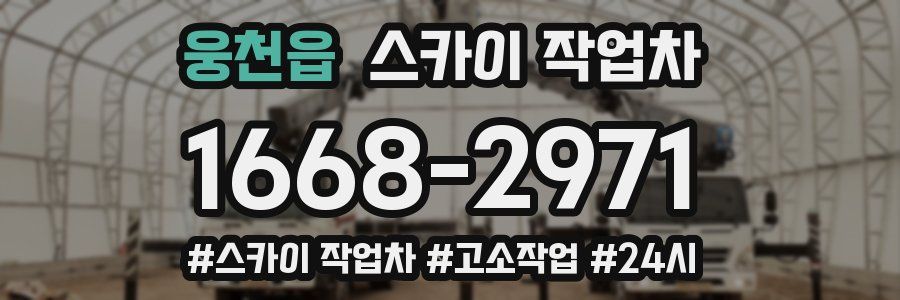 웅천읍 스카이 작업차