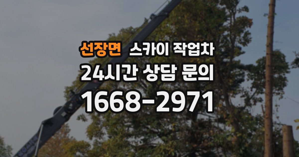 선장면 스카이 작업차
