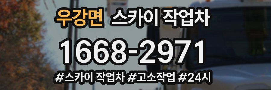 우강면 스카이 작업차