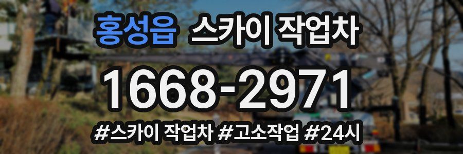 홍성읍 스카이 작업차