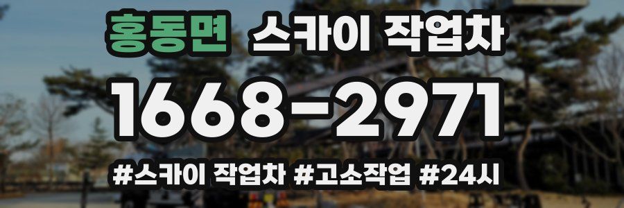 홍동면 스카이 작업차