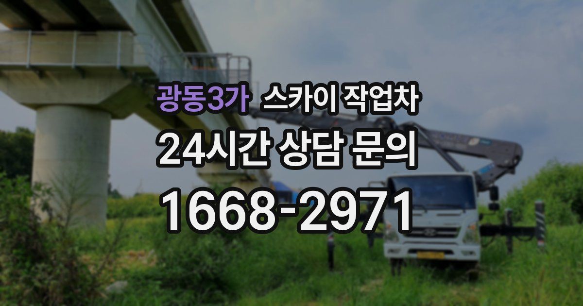 광동3가 스카이 작업차