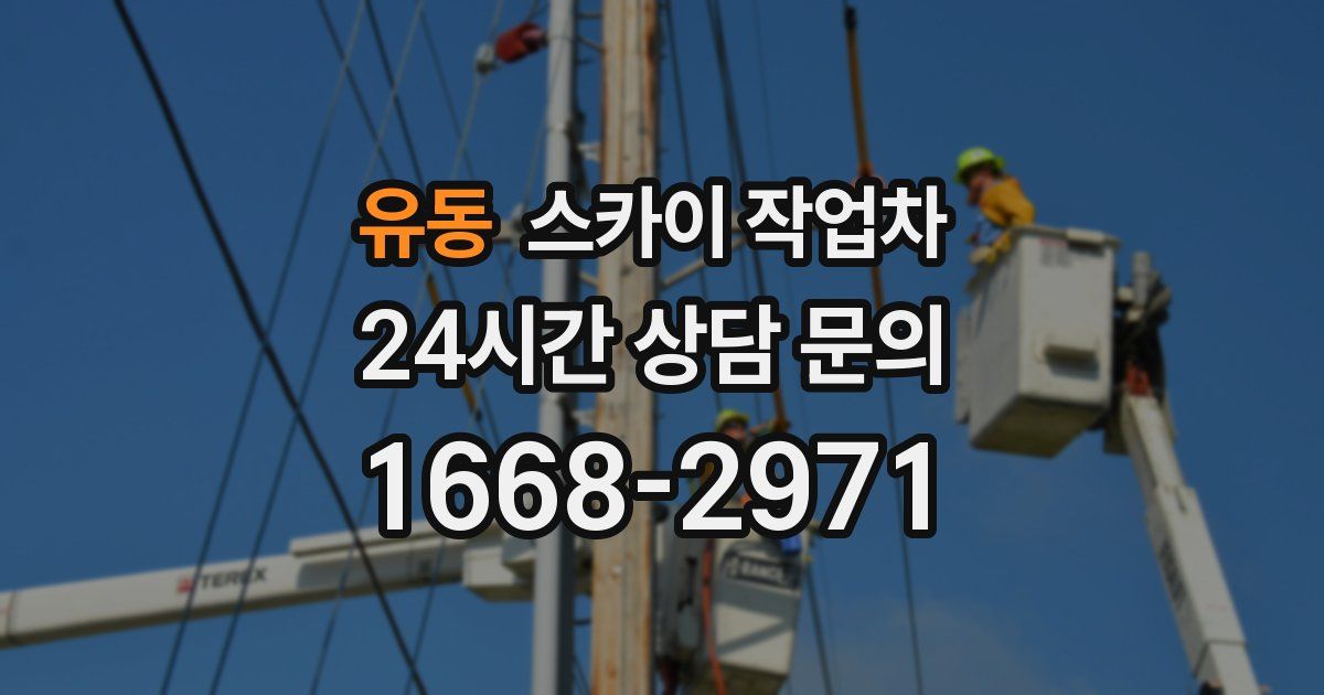 유동 스카이 작업차