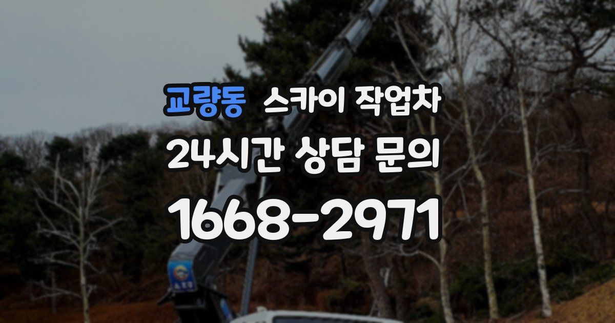 교량동 스카이 작업차