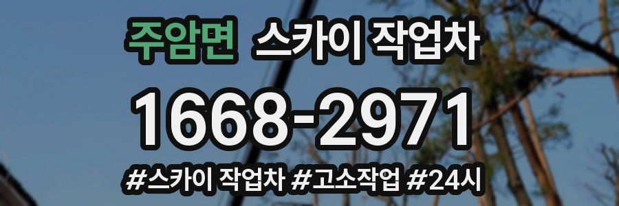 주암면 스카이 작업차