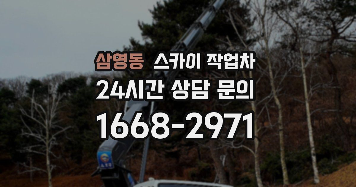 삼영동 스카이 작업차