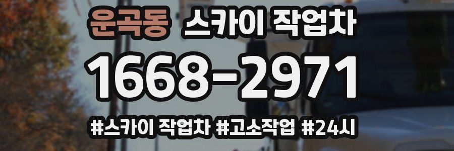 운곡동 스카이 작업차