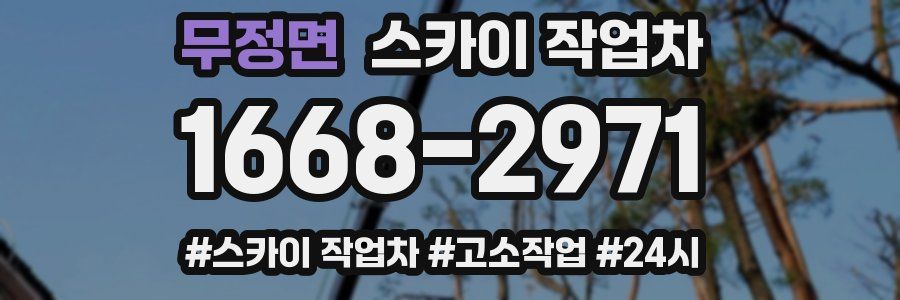 무정면 스카이 작업차