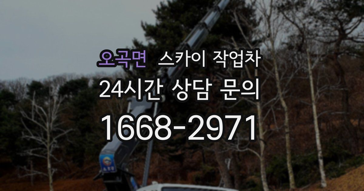 오곡면 스카이 작업차