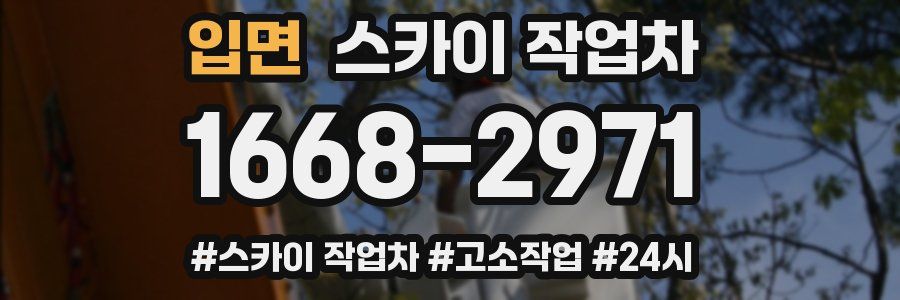 입면 스카이 작업차