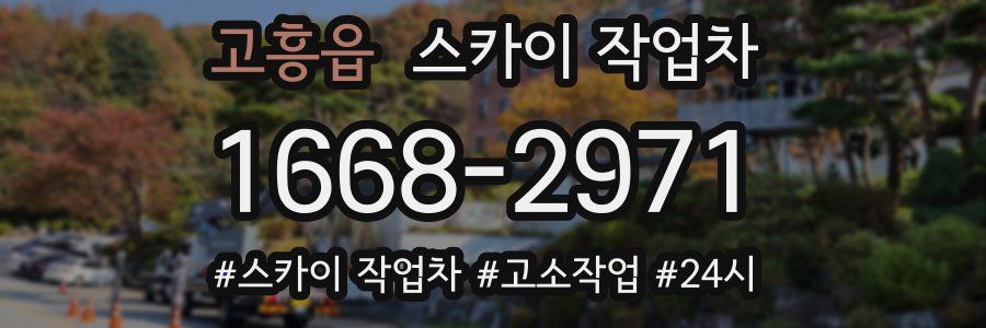 고흥읍 스카이 작업차