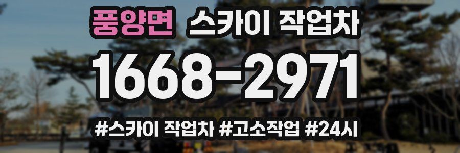 풍양면 스카이 작업차