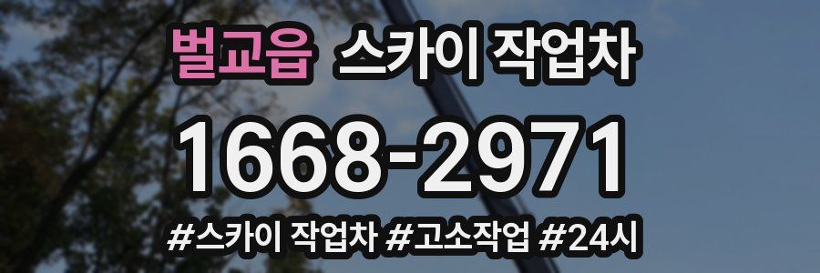 벌교읍 스카이 작업차