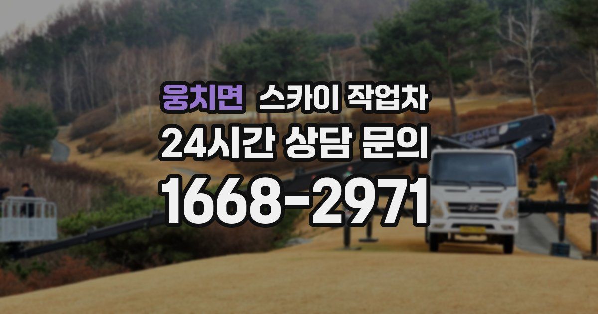 웅치면 스카이 작업차