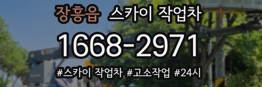 장흥읍 스카이 작업차