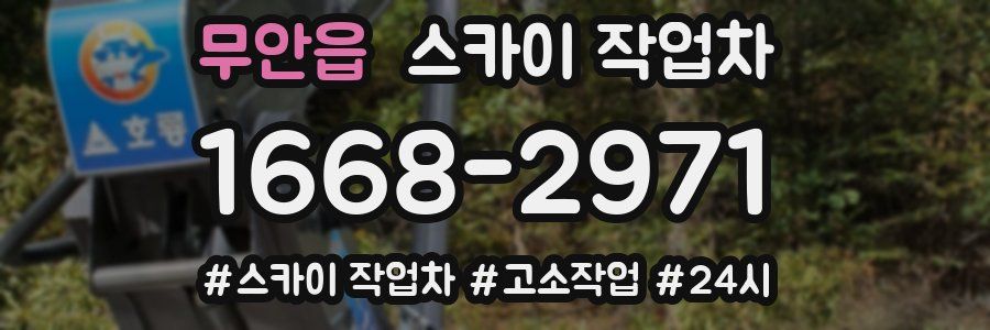 무안읍 스카이 작업차