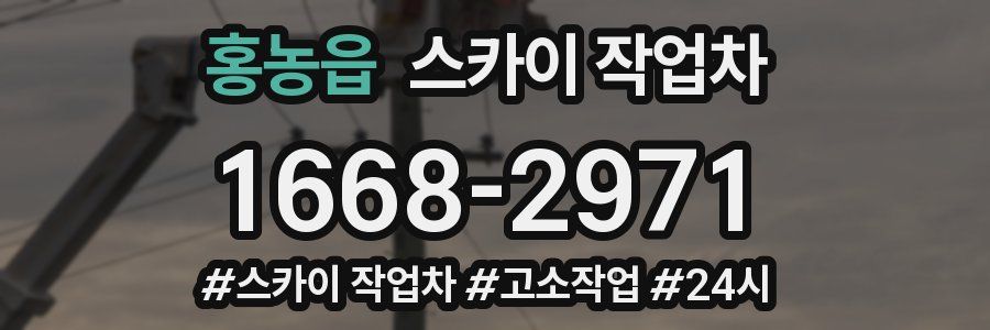 홍농읍 스카이 작업차