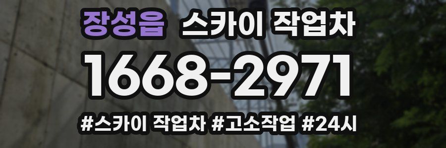 장성읍 스카이 작업차