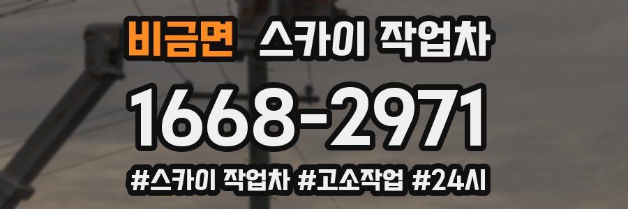 비금면 스카이 작업차
