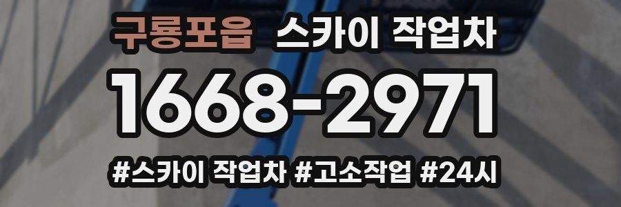 구룡포읍 스카이 작업차