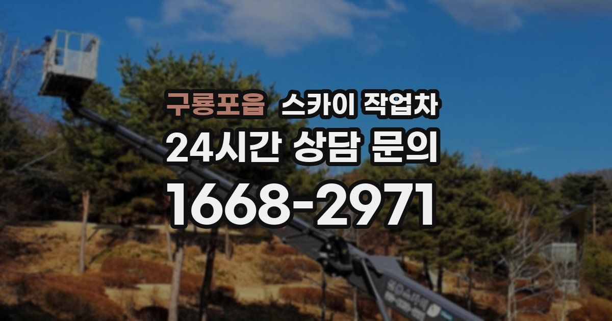 구룡포읍 스카이 작업차