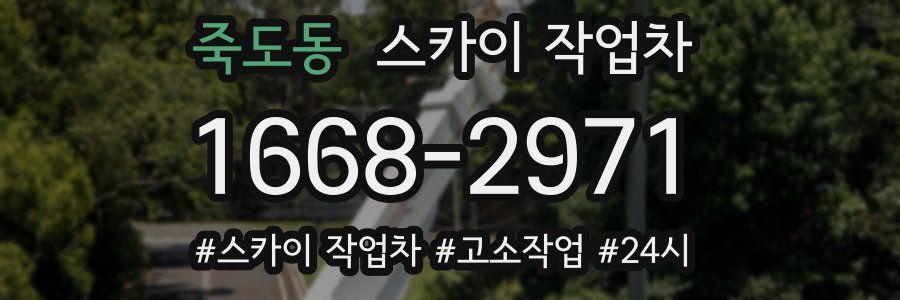 죽도동 스카이 작업차