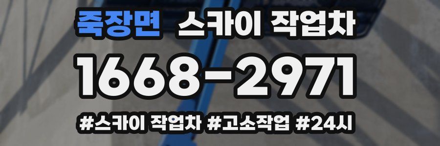 죽장면 스카이 작업차