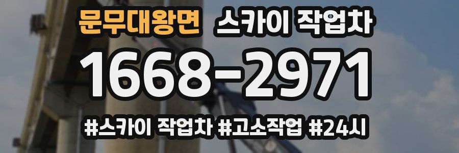 문무대왕면 스카이 작업차