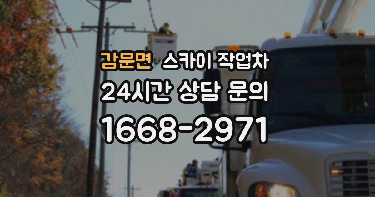 감문면 스카이 작업차