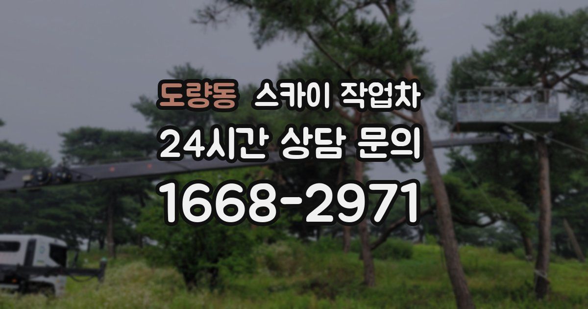 도량동 스카이 작업차