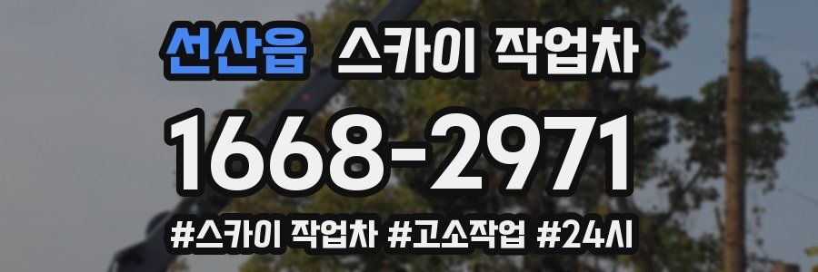 선산읍 스카이 작업차