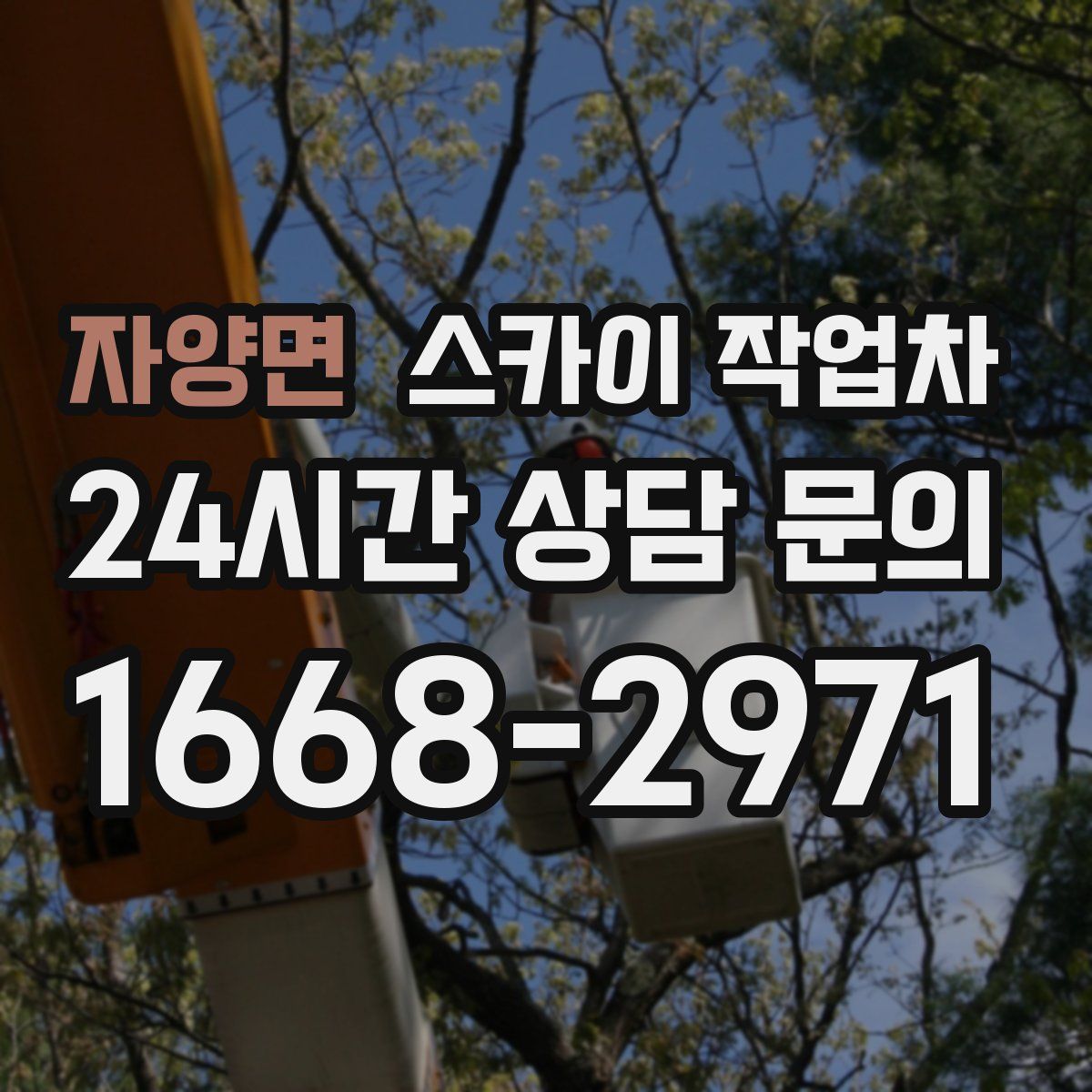 자양면 스카이 작업차