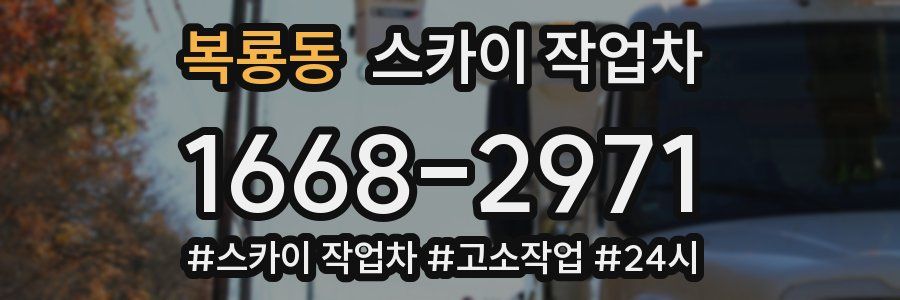 복룡동 스카이 작업차