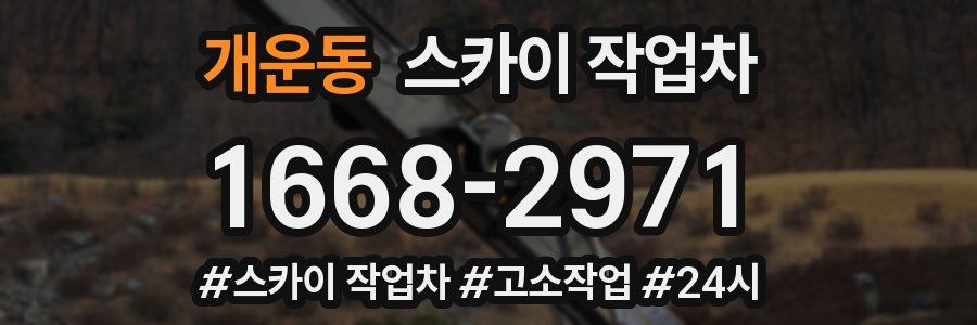 개운동 스카이 작업차