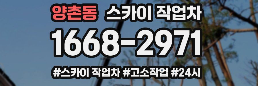 양촌동 스카이 작업차